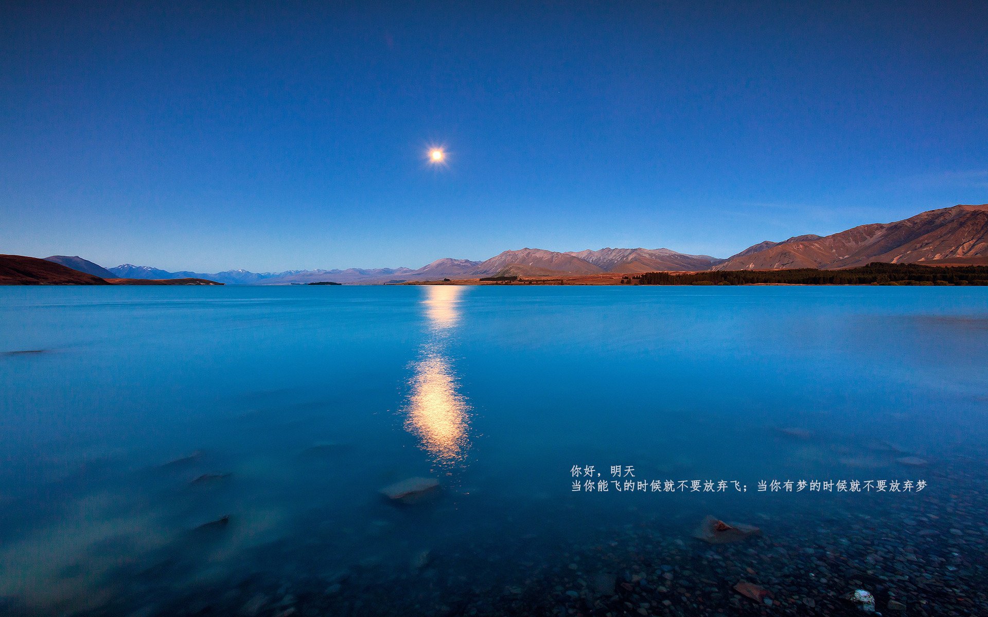 未来策略：数字化、国际化、多元化引领新篮球时代