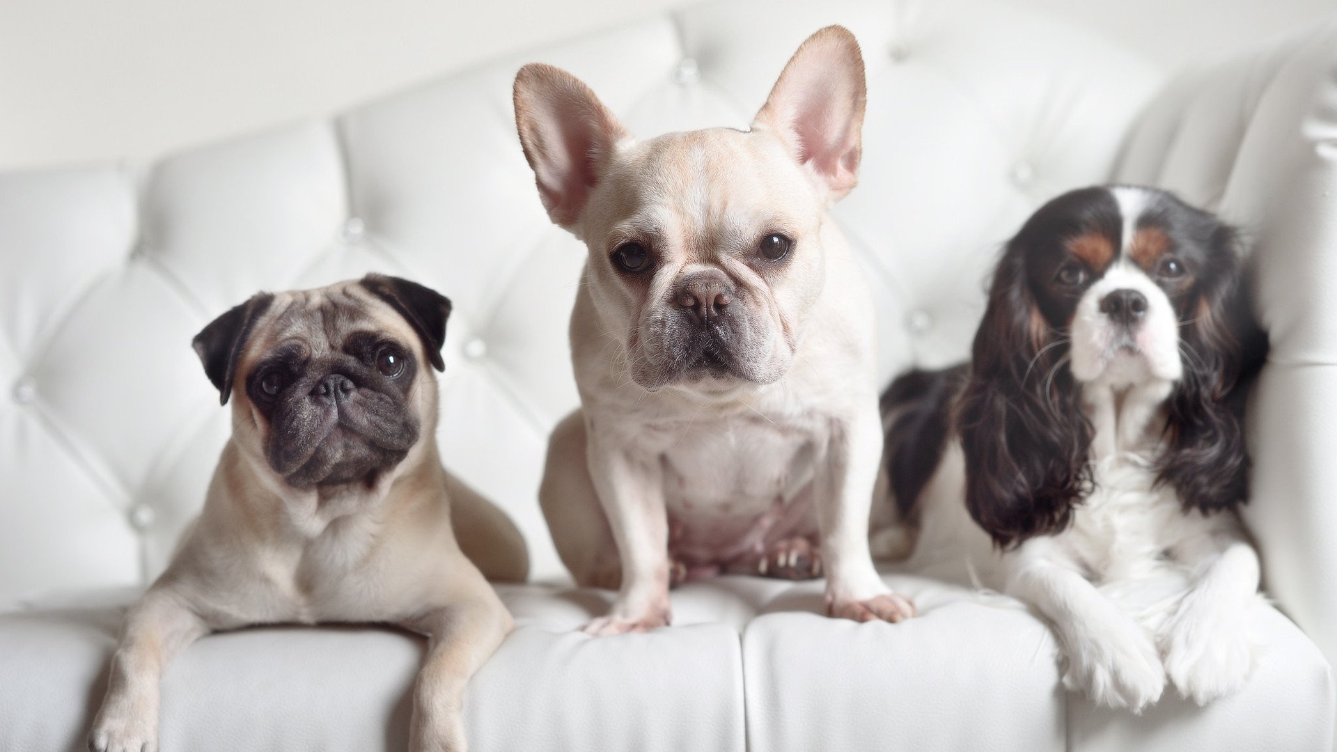 爱游戏赛事中心-未来“欧洲足球王者”的崛起，谁是下一位主宰？，欧洲足球发展状况