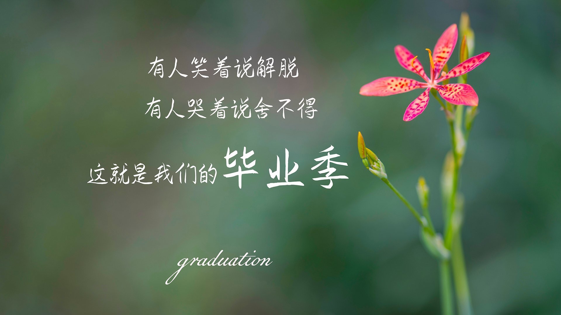 未来发展：F1的商业拓展新方向，f1商业模式