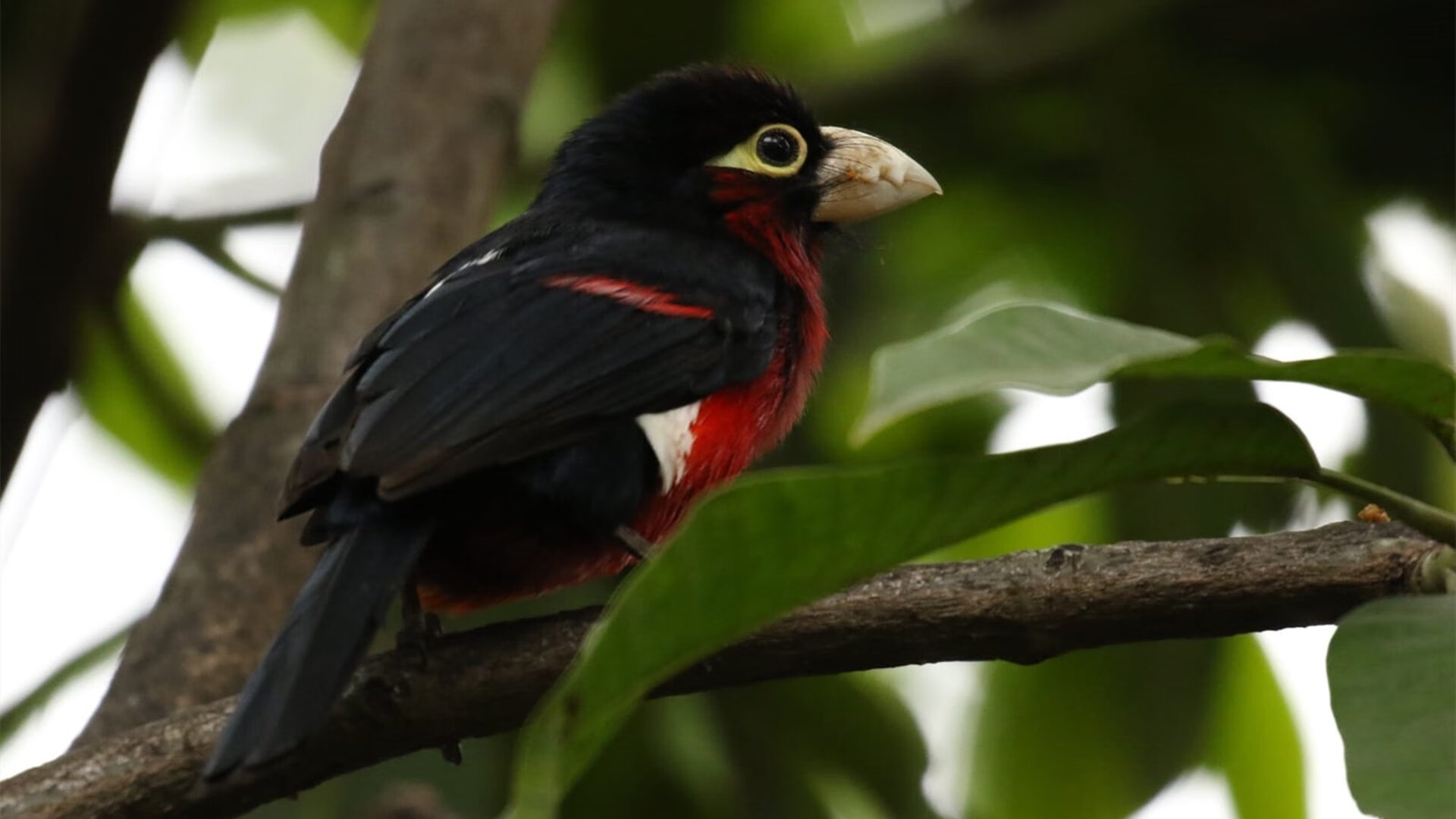 特色青训“智能化+专业化”行业深度融合，行业实力持续增强