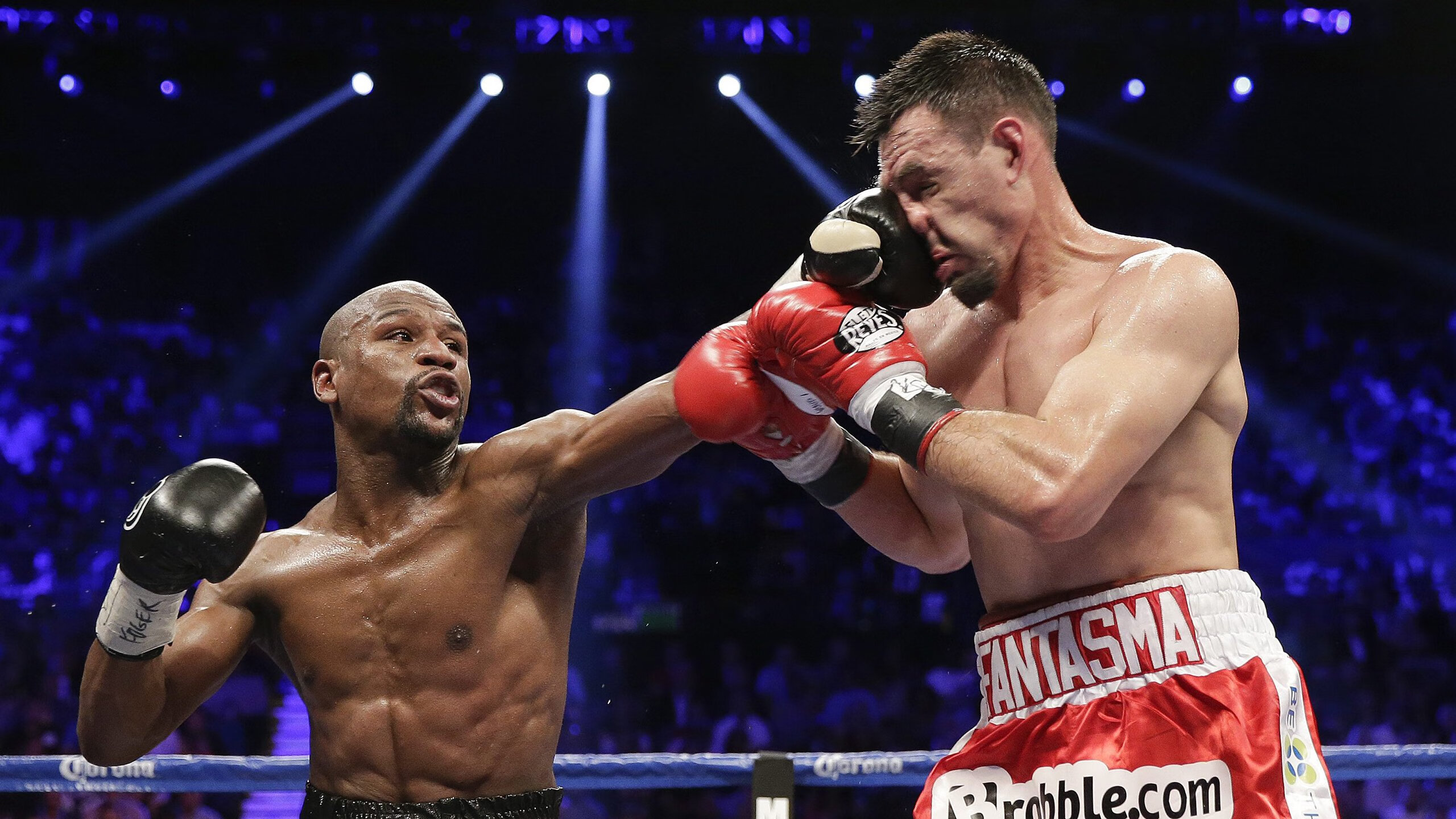 观赛攻略:最佳观景点和赛场全景指南,观赛入口