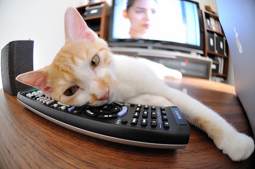 爱游戏在线-Astralis 在 Flashpoint 中获得冠军，astralis夺冠照片