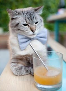 冠军捧杯激动人心，女足比赛精彩时刻留存，女足晋级视频