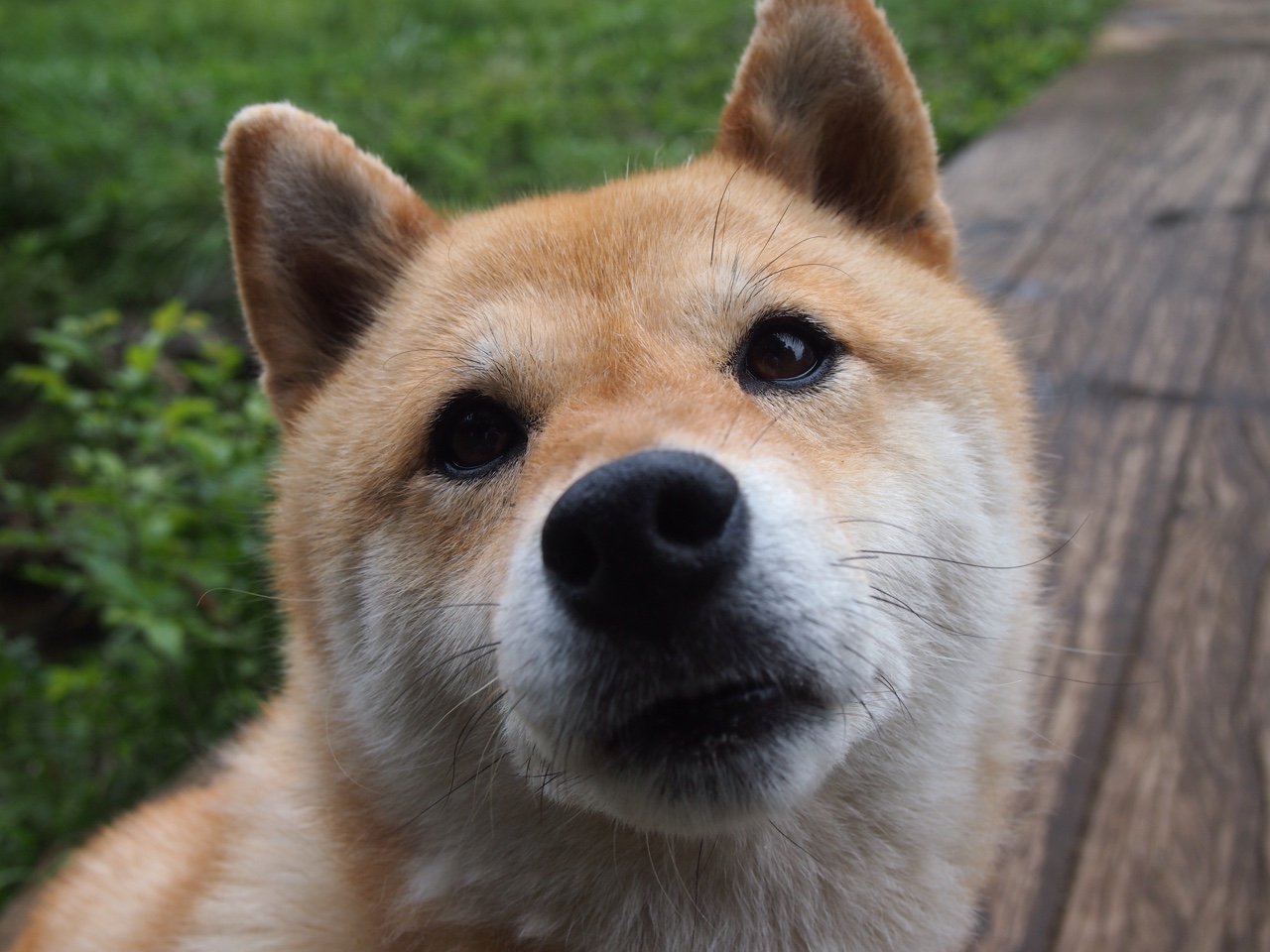 爱游戏APP-卫冕冠军兰斯遭遇挑战，客场难求一胜，兰斯kd