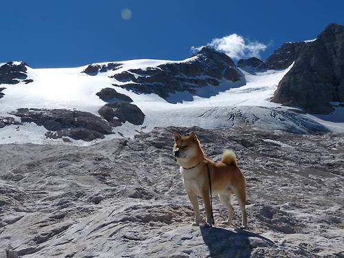 是否应强化球员危机公关能力培训，是否应强化球员危机公关能力培训的措施