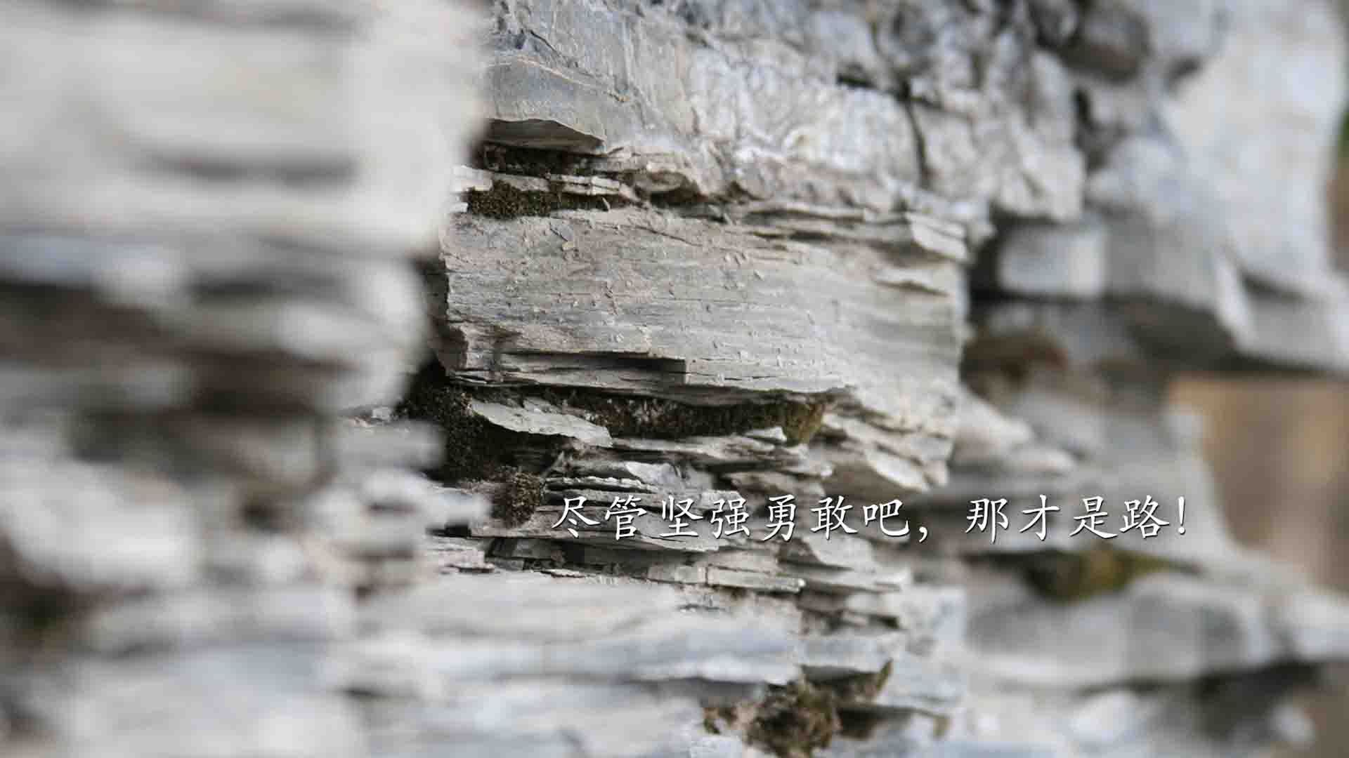 爱游戏多端接入-NBA球队管理层决策流程科学化研究，nba管理人员