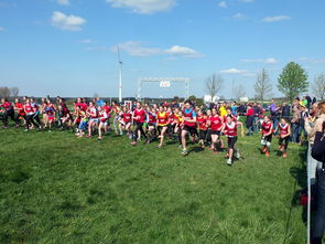 爱游戏网页版-中国篮球青少年篮球发展政策落实与推广，中国青少年篮球发展现状