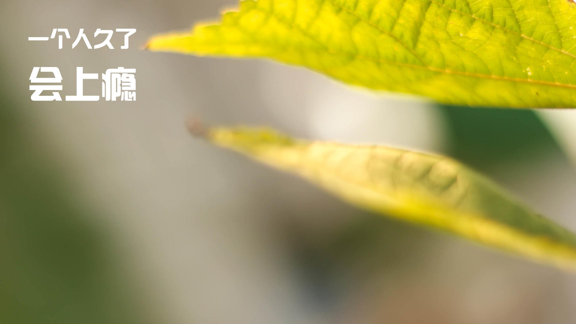 意甲球队基于疲劳评估调整高强度跑动训练方案，意甲球员跑动距离排名