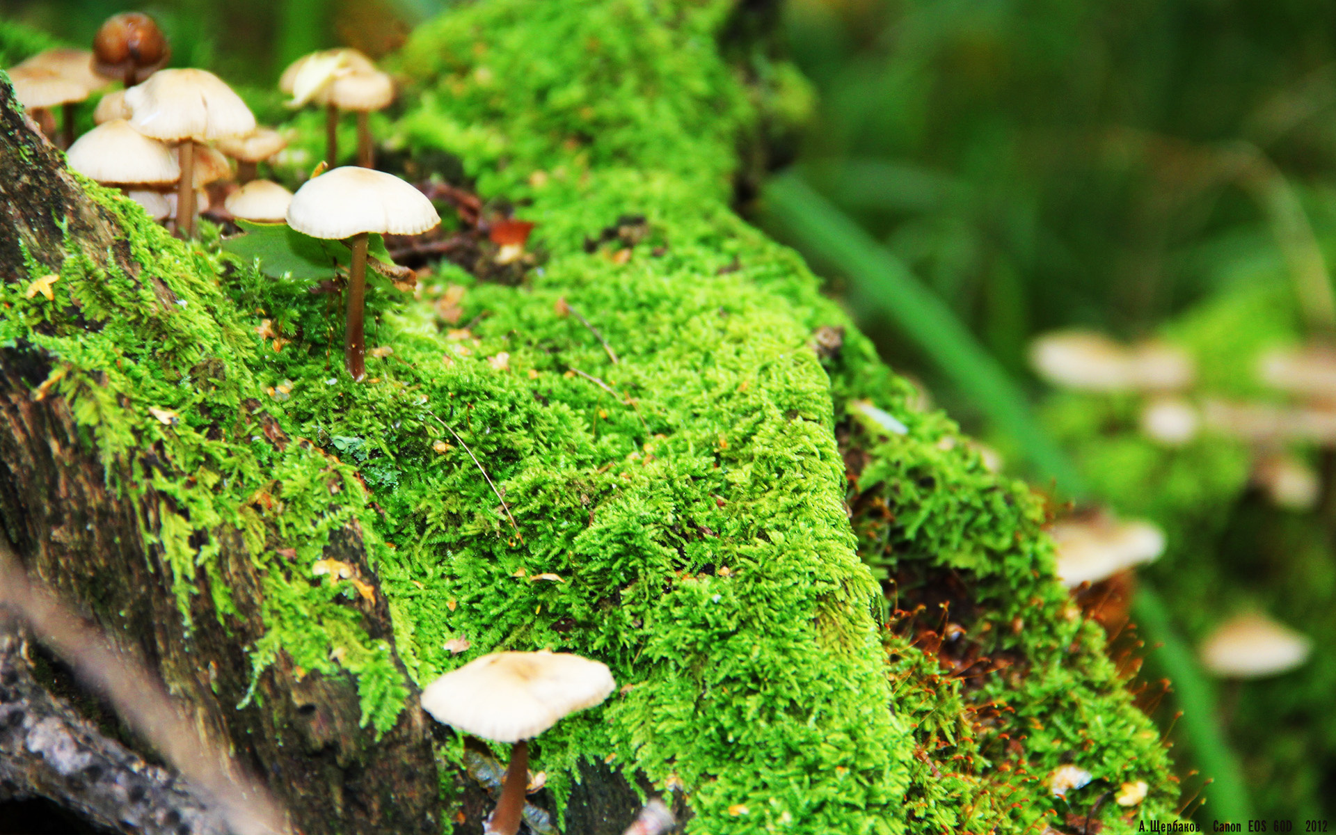 切尔西边锋突破助力打开局势,切尔西阵型经典