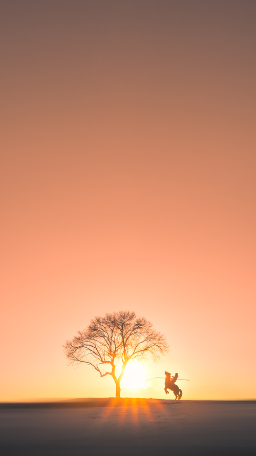 国家女篮在多场比赛中表现稳定保持连胜,女篮国家队最新名单